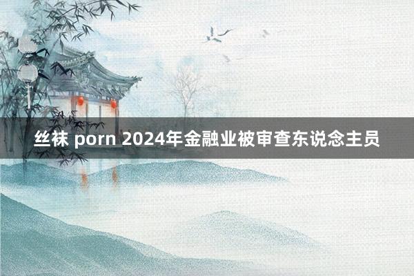 丝袜 porn 2024年金融业被审查东说念主员