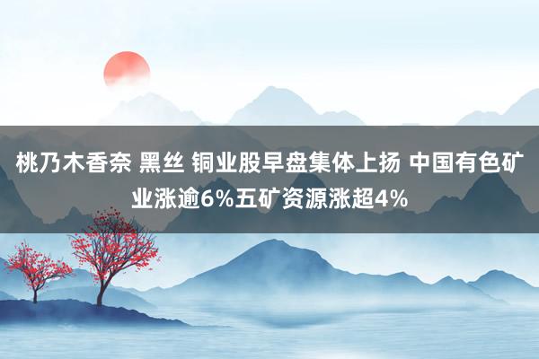 桃乃木香奈 黑丝 铜业股早盘集体上扬 中国有色矿业涨逾6%五矿资源涨超4%
