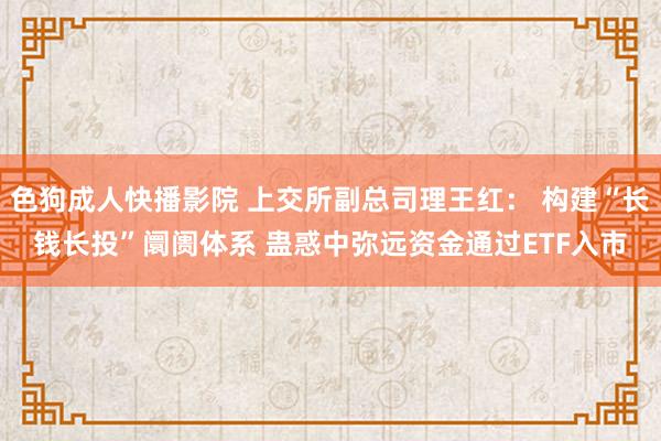 色狗成人快播影院 上交所副总司理王红： 构建“长钱长投”阛阓体系 蛊惑中弥远资金通过ETF入市