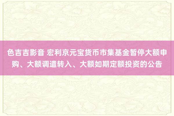 色吉吉影音 宏利京元宝货币市集基金暂停大额申购、大额调遣转入、大额如期定额投资的公告