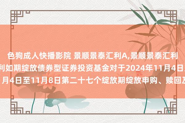 色狗成人快播影院 景顺景泰汇利A,景顺景泰汇利C: 景顺长城景泰汇利如期绽放债券型证券投资基金对于2024年11月4日至11月8日第二十七个绽放期绽放申购、赎回及调治业务的公告