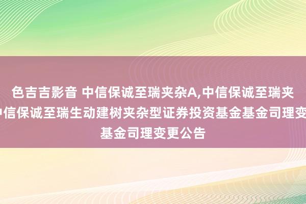 色吉吉影音 中信保诚至瑞夹杂A,中信保诚至瑞夹杂C: 中信保诚至瑞生动建树夹杂型证券投资基金基金司理变更公告