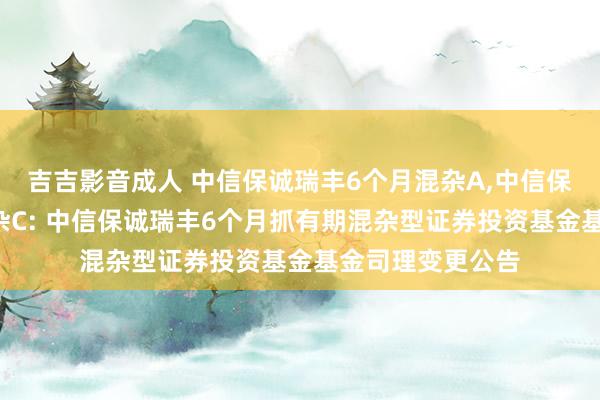 吉吉影音成人 中信保诚瑞丰6个月混杂A,中信保诚瑞丰6个月混杂C: 中信保诚瑞丰6个月抓有期混杂型证券投资基金基金司理变更公告