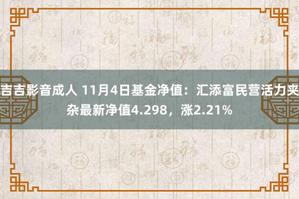 吉吉影音成人 11月4日基金净值：汇添富民营活力夹杂最新净值4.298，涨2.21%