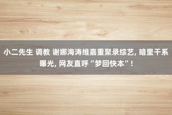 小二先生 调教 谢娜海涛维嘉重聚录综艺， 暗里干系曝光， 网友直呼“梦回快本”!