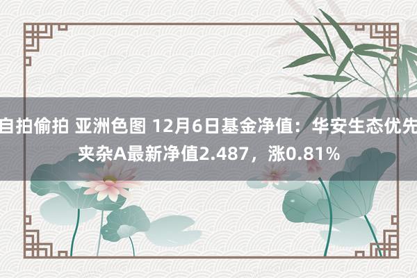自拍偷拍 亚洲色图 12月6日基金净值：华安生态优先夹杂A最新净值2.487，涨0.81%