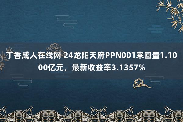 丁香成人在线网 24龙阳天府PPN001来回量1.1000亿元，最新收益率3.1357%