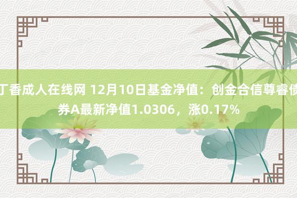 丁香成人在线网 12月10日基金净值：创金合信尊睿债券A最新净值1.0306，涨0.17%