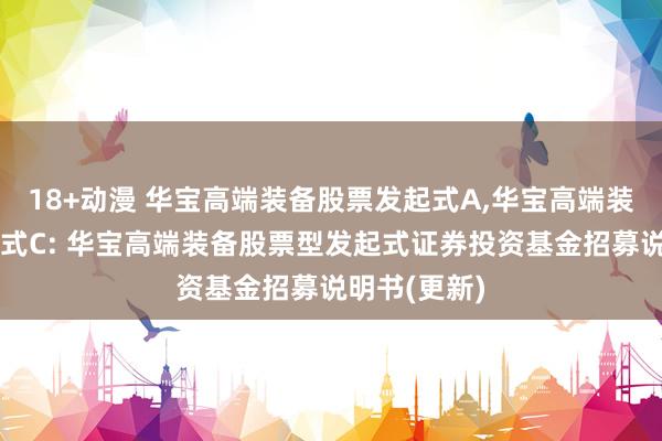 18+动漫 华宝高端装备股票发起式A,华宝高端装备股票发起式C: 华宝高端装备股票型发起式证券投资基金招募说明书(更新)