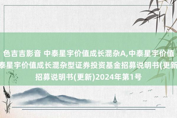 色吉吉影音 中泰星宇价值成长混杂A,中泰星宇价值成长混杂C: 中泰星宇价值成长混杂型证券投资基金招募说明书(更新)2024年第1号