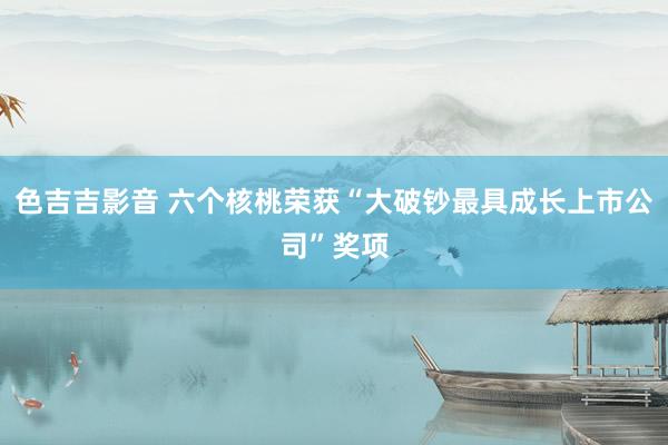 色吉吉影音 六个核桃荣获“大破钞最具成长上市公司”奖项