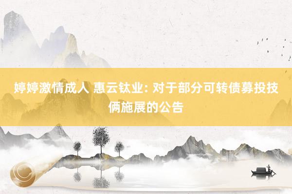 婷婷激情成人 惠云钛业: 对于部分可转债募投技俩施展的公告