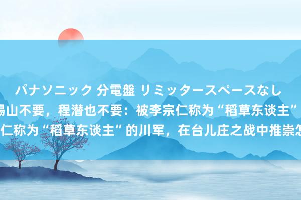 パナソニック 分電盤 リミッタースペースなし 露出・半埋込両用形 阎锡山不要，程潜也不要：被李宗仁称为“稻草东谈主”的川军，在台儿庄之战中推崇怎样？