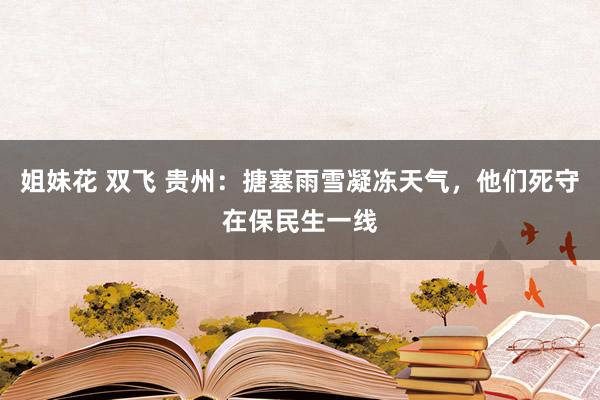 姐妹花 双飞 贵州：搪塞雨雪凝冻天气，他们死守在保民生一线
