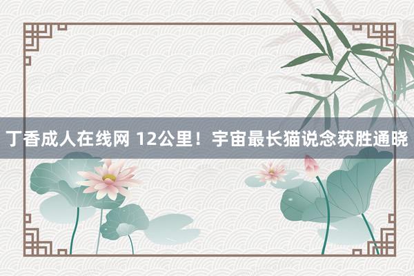 丁香成人在线网 12公里！宇宙最长猫说念获胜通晓