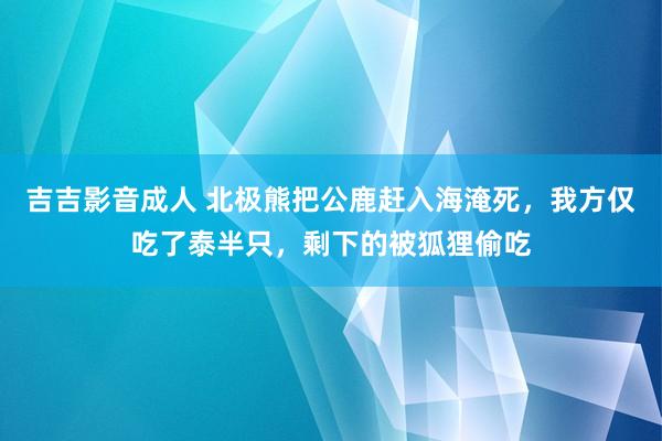 吉吉影音成人 北极熊把公鹿赶入海淹死，我方仅吃了泰半只，剩下的被狐狸偷吃