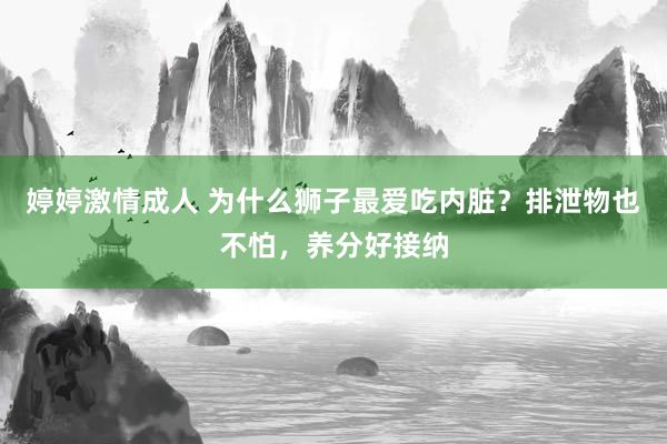婷婷激情成人 为什么狮子最爱吃内脏？排泄物也不怕，养分好接纳
