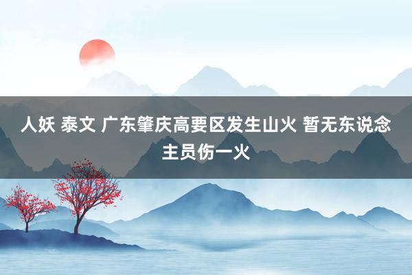 人妖 泰文 广东肇庆高要区发生山火 暂无东说念主员伤一火