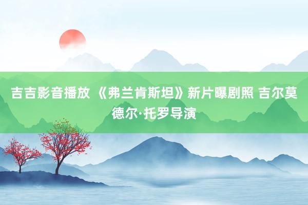 吉吉影音播放 《弗兰肯斯坦》新片曝剧照 吉尔莫德尔·托罗导演