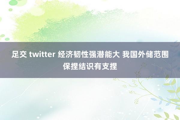 足交 twitter 经济韧性强潜能大 我国外储范围保捏结识有支捏