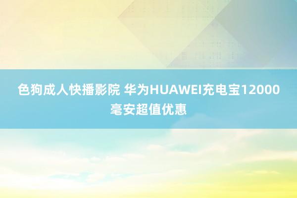 色狗成人快播影院 华为HUAWEI充电宝12000毫安超值优惠