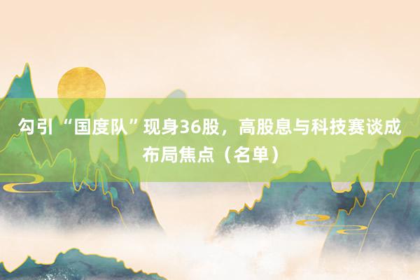 勾引 “国度队”现身36股，高股息与科技赛谈成布局焦点（名单）
