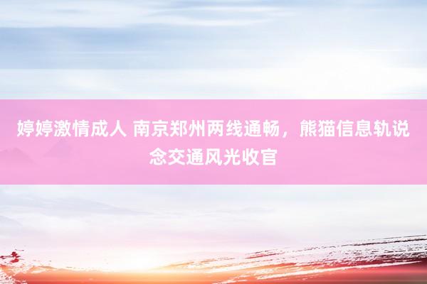 婷婷激情成人 南京郑州两线通畅，熊猫信息轨说念交通风光收官
