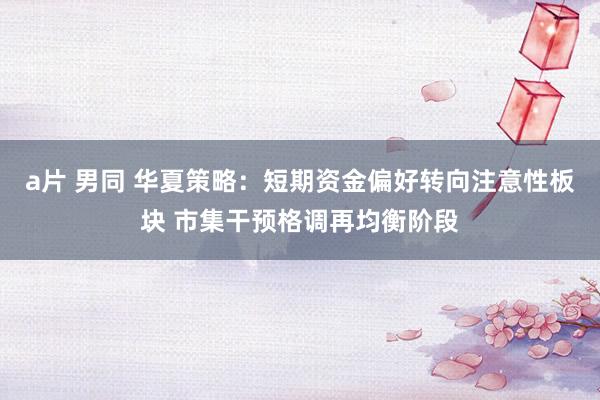 a片 男同 华夏策略：短期资金偏好转向注意性板块 市集干预格调再均衡阶段