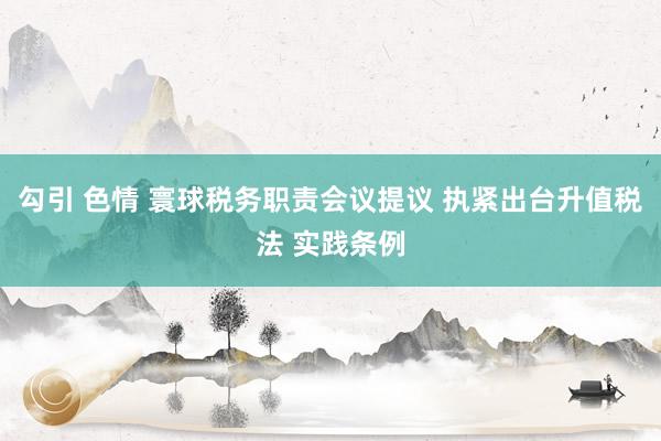 勾引 色情 寰球税务职责会议提议 执紧出台升值税法 实践条例