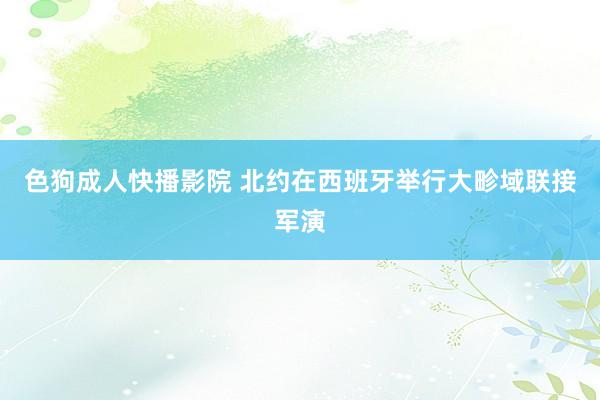 色狗成人快播影院 北约在西班牙举行大畛域联接军演