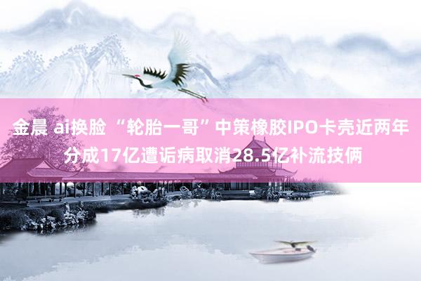 金晨 ai换脸 “轮胎一哥”中策橡胶IPO卡壳近两年 分成17亿遭诟病取消28.5亿补流技俩