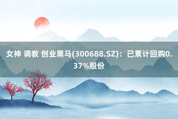 女神 调教 创业黑马(300688.SZ)：已累计回购0.37%股份