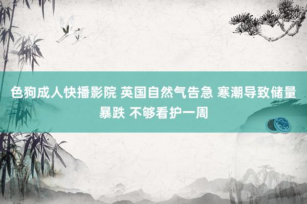 色狗成人快播影院 英国自然气告急 寒潮导致储量暴跌 不够看护一周