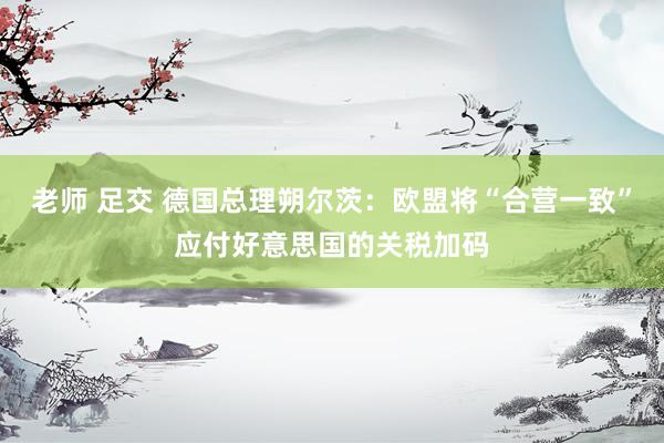 老师 足交 德国总理朔尔茨：欧盟将“合营一致”应付好意思国的关税加码