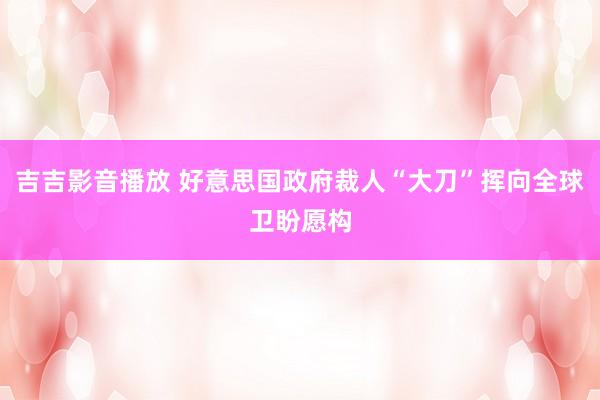 吉吉影音播放 好意思国政府裁人“大刀”挥向全球卫盼愿构