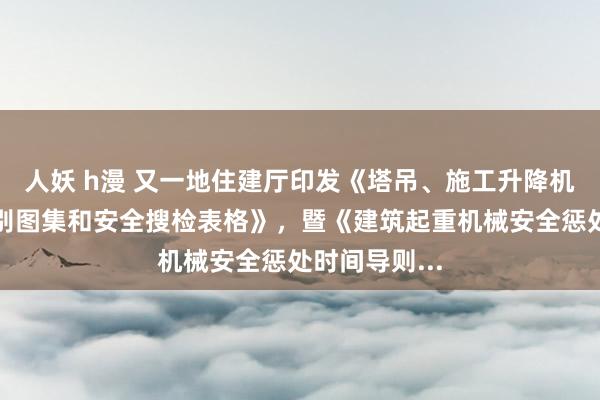 人妖 h漫 又一地住建厅印发《塔吊、施工升降机安全隐患识别图集和安全搜检表格》，暨《建筑起重机械安全惩处时间导则...