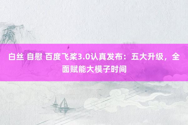 白丝 自慰 百度飞桨3.0认真发布：五大升级，全面赋能大模子时间