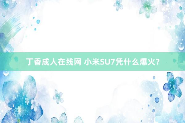 丁香成人在线网 小米SU7凭什么爆火？