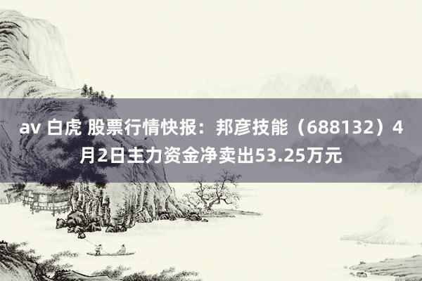 av 白虎 股票行情快报：邦彦技能（688132）4月2日主力资金净卖出53.25万元