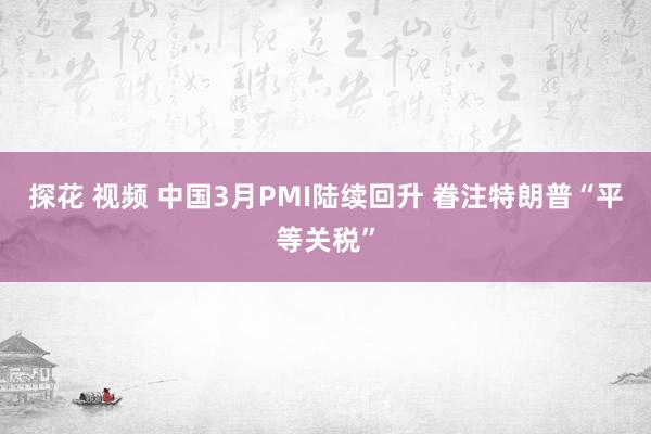 探花 视频 中国3月PMI陆续回升 眷注特朗普“平等关税”
