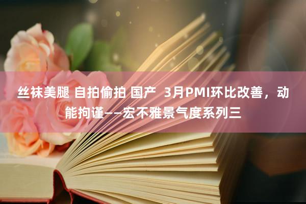 丝袜美腿 自拍偷拍 国产  3月PMI环比改善，动能拘谨——宏不雅景气度系列三