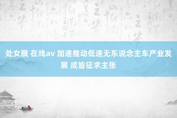 处女膜 在线av 加速推动低速无东说念主车产业发展 成皆征求主张