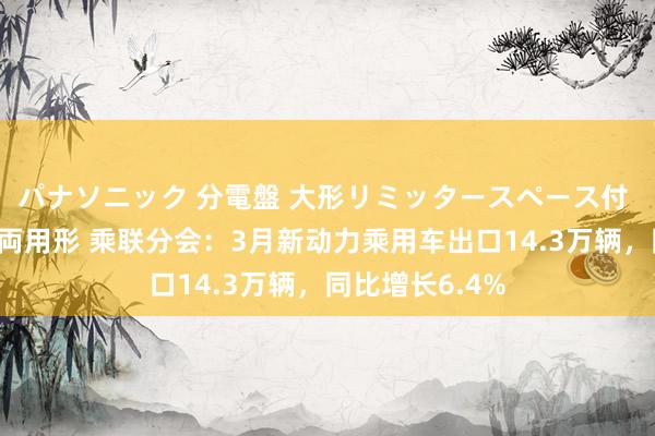 パナソニック 分電盤 大形リミッタースペース付 露出・半埋込両用形 乘联分会：3月新动力乘用车出口14.3万辆，同比增长6.4%