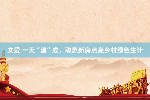 文爱 一天“建”成，聪惠新房点亮乡村绿色生计