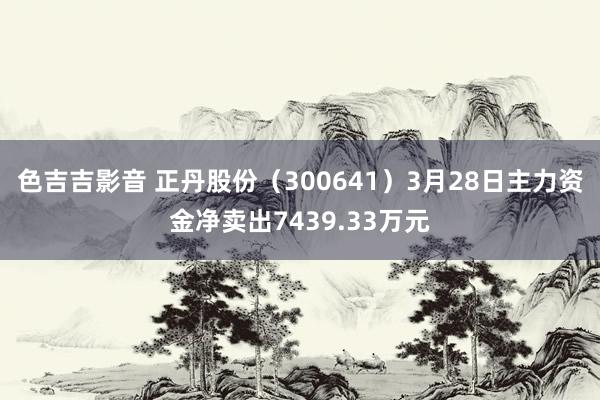 色吉吉影音 正丹股份（300641）3月28日主力资金净卖出7439.33万元