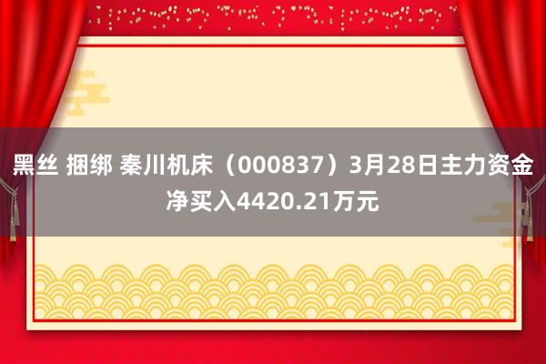 黑丝 捆绑 秦川机床（000837）3月28日主力资金净买入4420.21万元