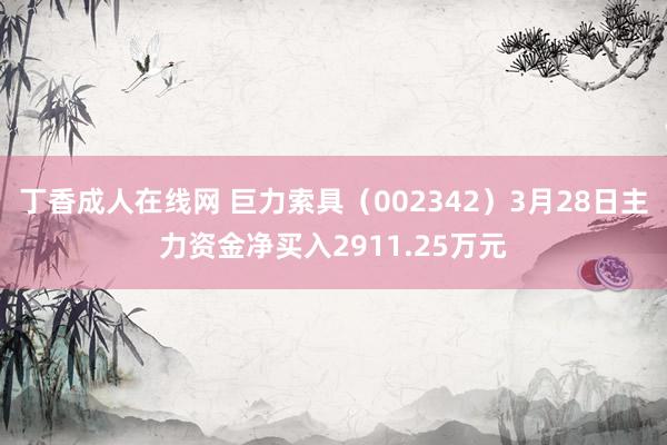丁香成人在线网 巨力索具（002342）3月28日主力资金净买入2911.25万元
