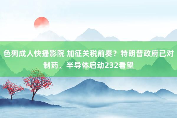 色狗成人快播影院 加征关税前奏？特朗普政府已对制药、半导体启动232看望
