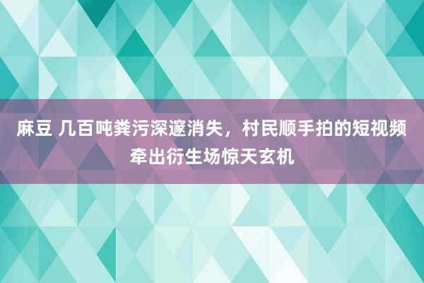 麻豆 几百吨粪污深邃消失，村民顺手拍的短视频牵出衍生场惊天玄机