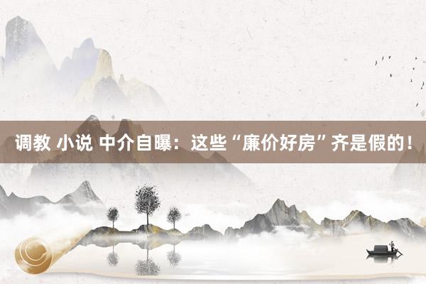 调教 小说 中介自曝：这些“廉价好房”齐是假的！